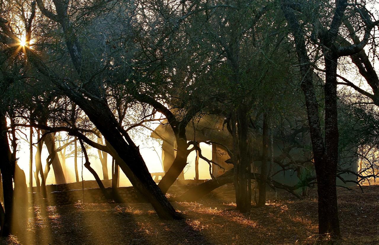 Hlane Royal National Park Βίλα Simunye Εξωτερικό φωτογραφία